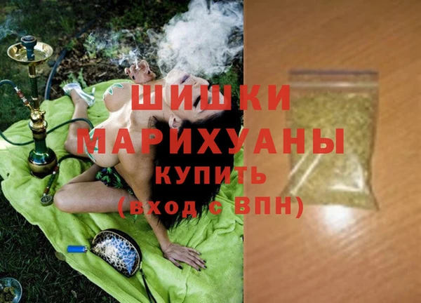 бошки Алексин