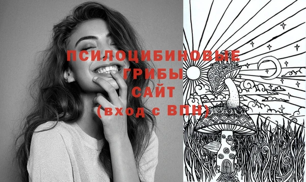 бошки Алексин
