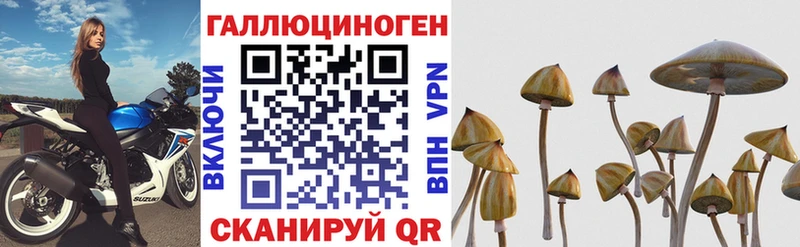 Галлюциногенные грибы мицелий Нефтекумск
